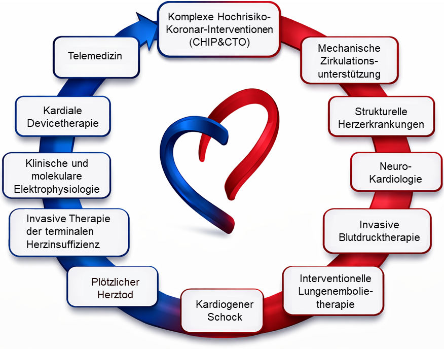 Die Abbildung zeigt ein Herz. Um das Herz herum stehen die Leistungen der Sektion invasive Kardiologie 