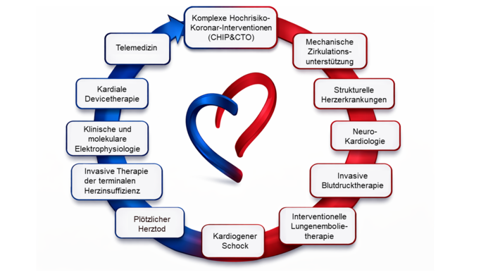 Die Abbildung zeigt ein Herz. Um das Herz herum stehen die Leistungen der Sektion invasive Kardiologie 