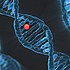 Icon Molekularonkologische Diagnostik