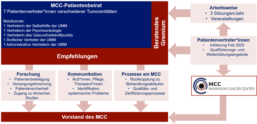 Organigramm des MCC Patientenbeirats 