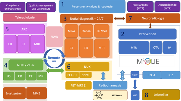 Zentrumsbasierte Struktur der Klinik für Radiologie und Nuklearmedizin.