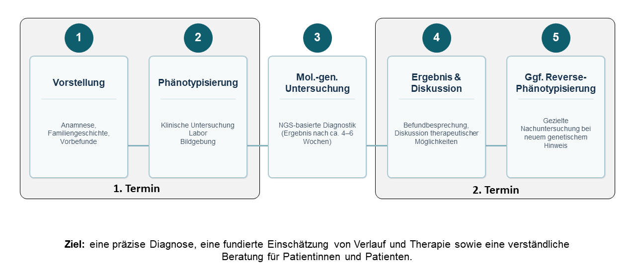 ADPKD_Workflow_Sprechstunde