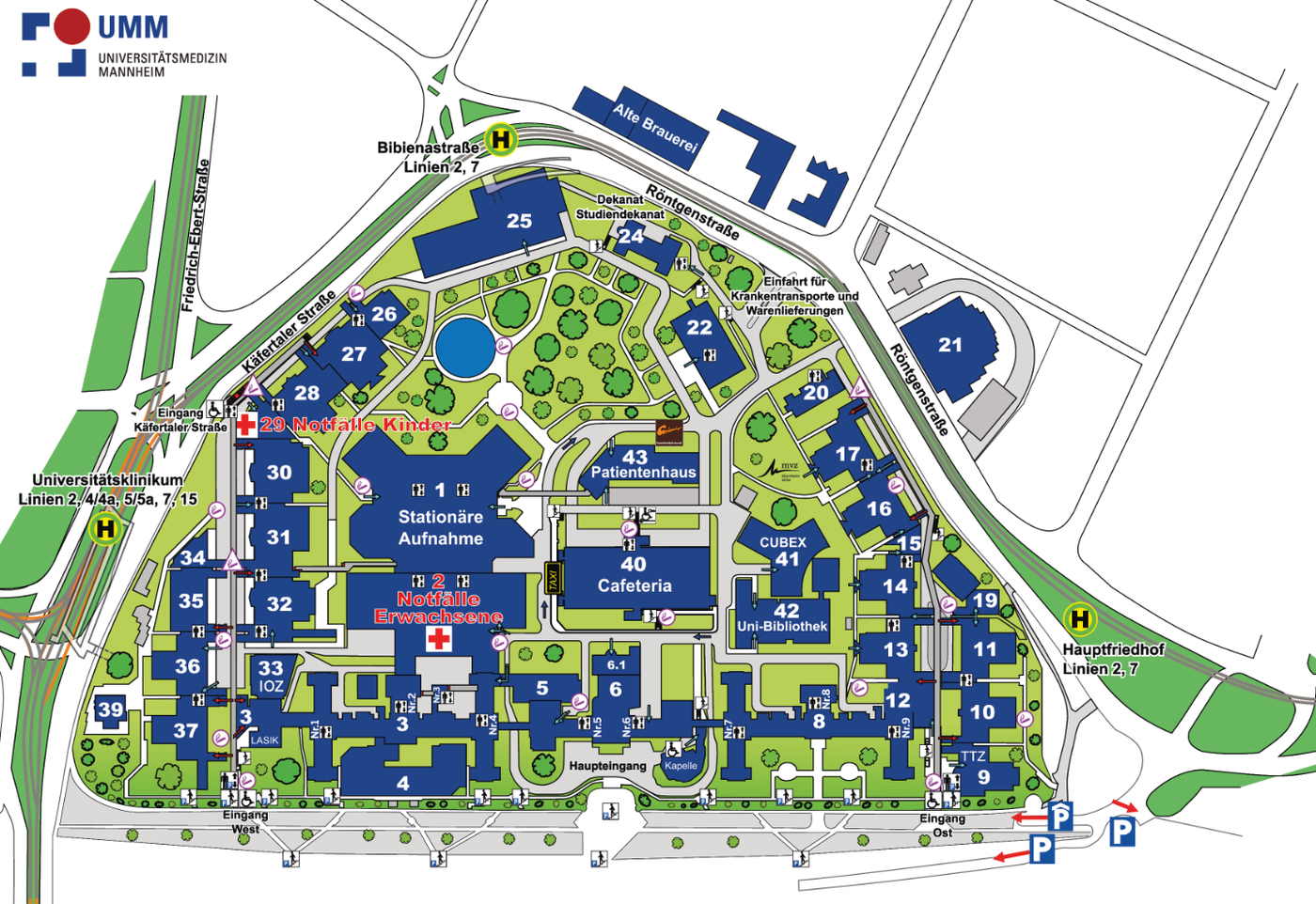 Grafischer Lage- und Gebäudeplan des Universitätsklinikums Mannheim. Darstellung des gesamten Klinikcampus zwischen Käfertaler Straße, Röntgenstraße und dem Hauptfriedhof. Alle Gebäude sind nummeriert und farblich hervorgehoben, Wege und Grünflächen sind eingezeichnet. Markiert sind unter anderem: Notaufnahme Erwachsene (Gebäude 2), Notaufnahme Kinder (Gebäude 29), Stationäre Aufnahme im Zentrum, Haupt- und Osteingang, Cafeteria (Gebäude 40), Patientenhaus (Gebäude 43), CUBEX 41 und Uni-Bibliothek (Gebäude 42). Bushaltestellen, Parkflächen, Einfahrten für Krankentransporte sowie zentrale Orientierungspunkte wie Kapelle, IOZ, Studierendensekretariat und verschiedene Kliniken sind eingezeichnet
