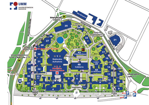 Grafischer Lage- und Gebäudeplan des Universitätsklinikums Mannheim. Darstellung des gesamten Klinikcampus zwischen Käfertaler Straße, Röntgenstraße und dem Hauptfriedhof. Alle Gebäude sind nummeriert und farblich hervorgehoben, Wege und Grünflächen sind eingezeichnet. Markiert sind unter anderem: Notaufnahme Erwachsene (Gebäude 2), Notaufnahme Kinder (Gebäude 29), Stationäre Aufnahme im Zentrum, Haupt- und Osteingang, Cafeteria (Gebäude 40), Patientenhaus (Gebäude 43), CUBEX 41 und Uni-Bibliothek (Gebäude 42). Bushaltestellen, Parkflächen, Einfahrten für Krankentransporte sowie zentrale Orientierungspunkte wie Kapelle, IOZ, Studierendensekretariat und verschiedene Kliniken sind eingezeichnet