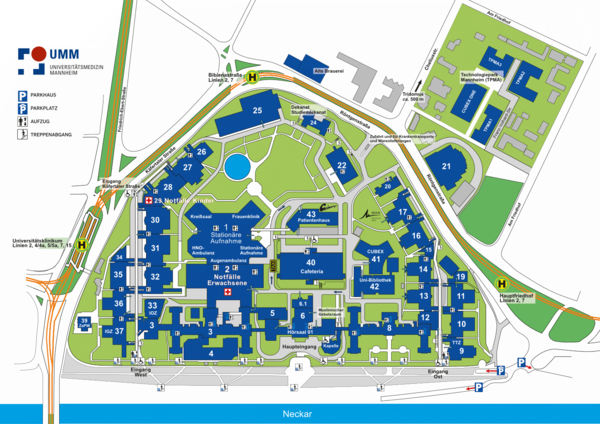 Grafischer Lage- und Gebäudeplan des Universitätsklinikums Mannheim. Darstellung des gesamten Klinikcampus zwischen Käfertaler Straße, Röntgenstraße und dem Hauptfriedhof. Alle Gebäude sind nummeriert und farblich hervorgehoben, Wege und Grünflächen sind eingezeichnet. Markiert sind unter anderem: Notaufnahme Erwachsene (Gebäude 2), Notaufnahme Kinder (Gebäude 29), Stationäre Aufnahme im Zentrum, Haupt- und Osteingang, Cafeteria (Gebäude 40), Patientenhaus (Gebäude 43), CUBEX 41 und Uni-Bibliothek (Gebäude 42). Bushaltestellen, Parkflächen, Einfahrten für Krankentransporte sowie zentrale Orientierungspunkte wie Kapelle, IOZ, Studierendensekretariat und verschiedene Kliniken sind eingezeichnet