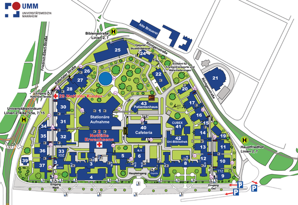 Grafischer Lage- und Gebäudeplan des Universitätsklinikums Mannheim. Darstellung des gesamten Klinikcampus zwischen Käfertaler Straße, Röntgenstraße und dem Hauptfriedhof. Alle Gebäude sind nummeriert und farblich hervorgehoben, Wege und Grünflächen sind eingezeichnet. Markiert sind unter anderem: Notaufnahme Erwachsene (Gebäude 2), Notaufnahme Kinder (Gebäude 29), Stationäre Aufnahme im Zentrum, Haupt- und Osteingang, Cafeteria (Gebäude 40), Patientenhaus (Gebäude 43), CUBEX 41 und Uni-Bibliothek (Gebäude 42). Bushaltestellen, Parkflächen, Einfahrten für Krankentransporte sowie zentrale Orientierungspunkte wie Kapelle, IOZ, Studierendensekretariat und verschiedene Kliniken sind eingezeichnet
