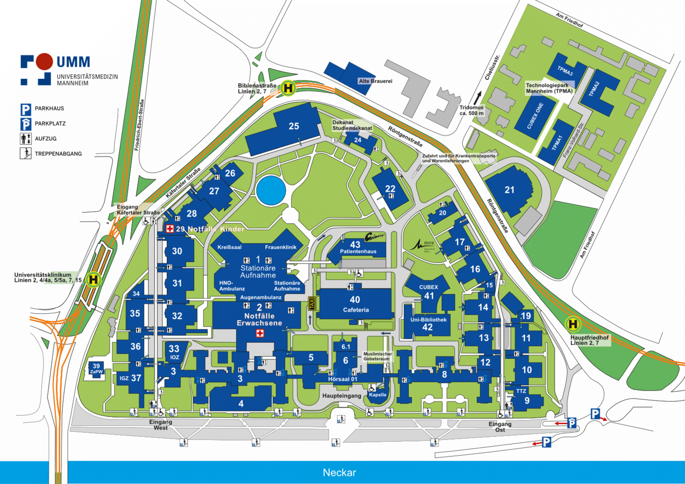 Grafischer Lage- und Gebäudeplan des Universitätsklinikums Mannheim. Darstellung des gesamten Klinikcampus zwischen Käfertaler Straße, Röntgenstraße und dem Hauptfriedhof. Alle Gebäude sind nummeriert und farblich hervorgehoben, Wege und Grünflächen sind eingezeichnet. Markiert sind unter anderem: Notaufnahme Erwachsene (Gebäude 2), Notaufnahme Kinder (Gebäude 29), Stationäre Aufnahme im Zentrum, Haupt- und Osteingang, Cafeteria (Gebäude 40), Patientenhaus (Gebäude 43), CUBEX 41 und Uni-Bibliothek (Gebäude 42). Bushaltestellen, Parkflächen, Einfahrten für Krankentransporte sowie zentrale Orientierungspunkte wie Kapelle, IOZ, Studierendensekretariat und verschiedene Kliniken sind eingezeichnet