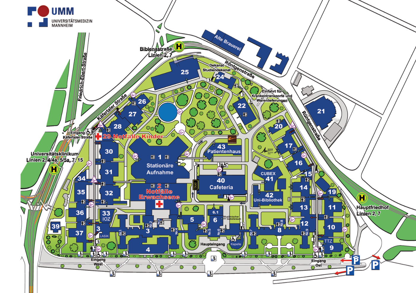 Grafischer Lage- und Gebäudeplan des Universitätsklinikums Mannheim. Darstellung des gesamten Klinikcampus zwischen Käfertaler Straße, Röntgenstraße und dem Hauptfriedhof. Alle Gebäude sind nummeriert und farblich hervorgehoben, Wege und Grünflächen sind eingezeichnet. Markiert sind unter anderem: Notaufnahme Erwachsene (Gebäude 2), Notaufnahme Kinder (Gebäude 29), Stationäre Aufnahme im Zentrum, Haupt- und Osteingang, Cafeteria (Gebäude 40), Patientenhaus (Gebäude 43), CUBEX 41 und Uni-Bibliothek (Gebäude 42). Bushaltestellen, Parkflächen, Einfahrten für Krankentransporte sowie zentrale Orientierungspunkte wie Kapelle, IOZ, Studierendensekretariat und verschiedene Kliniken sind eingezeichnet