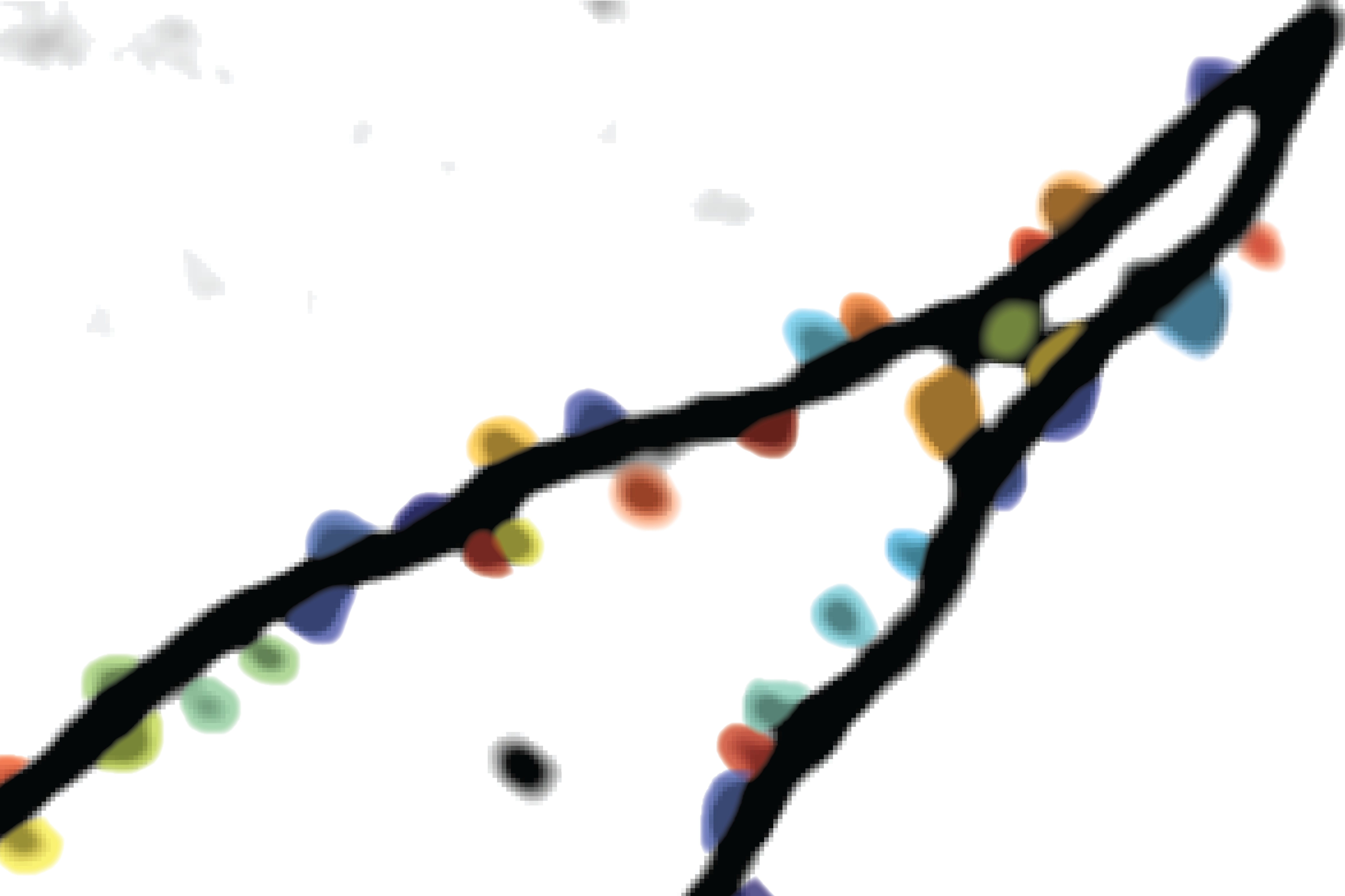 Das Bild zeigt eine Aufnahme aus der Forschung, den Fortsatz einer Nervenzelle mit bunten Punkten darauf, die die synaptischen Eingänge darstellen.